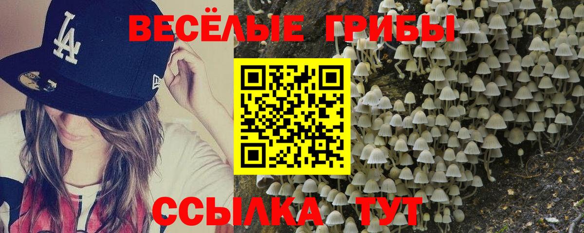 Карпинск  что такое   Галлюциногенные грибы Psilocybine cubensis  Вход с VPN  Галлюциногенные грибы Cubensis 