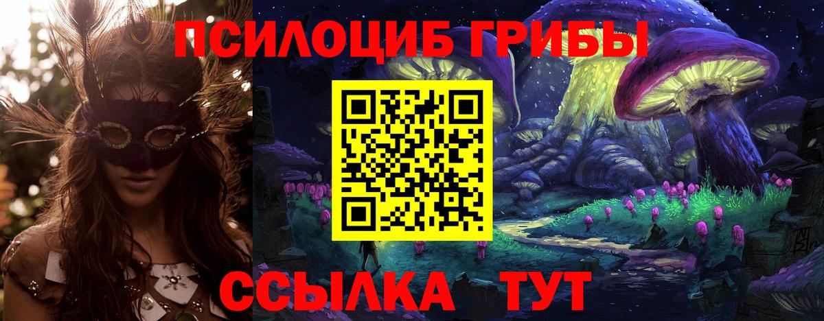 Псилоцибиновые грибы мицелий Карпинск